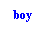 Text Box: boy
